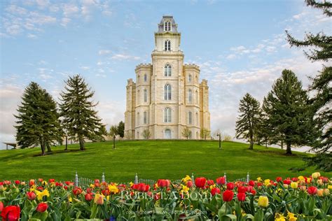 Manti Temple Tulips. Robert A. Boyd Fine Art and LDS Temples