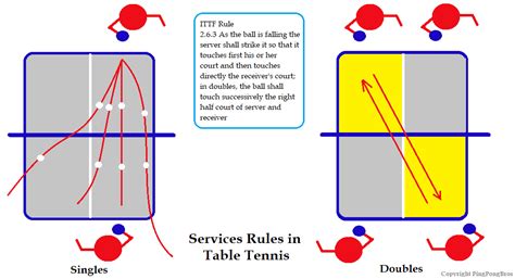 Ping Pong Rules - How to Play Table Tennis | PPB