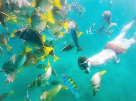 Snorkeling in Cabo San Lucas - Dustin Olsen