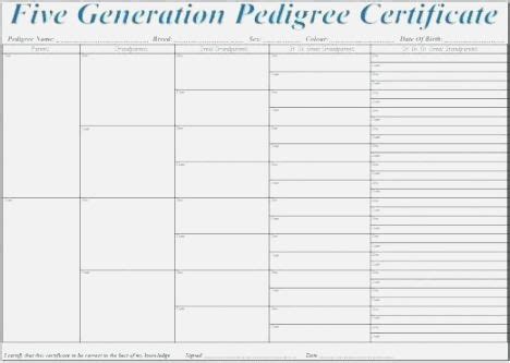 Five Generation Dog Pedigree Chart Template Free Templates Download .. Nerdy Printable Pigeon Pe ...