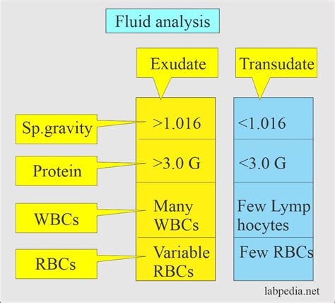 Fluid Analysis:- Part 4 - Ascitic fluid Abdominal Paracentesis Procedure - Labpedia.net