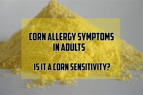 Corn Allergy Symptoms In Adults. Is it A Corn Sensitivity? | Corn ...