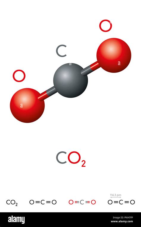 Carbon dioxide, CO2, molecule model and chemical formula. Carbonic acid ...