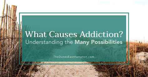 Understanding the Many Possibilities of What Cause Addictions