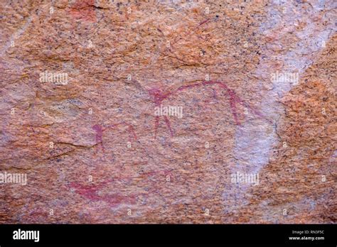 Bushman rock art in the Spitzkoppe Nature Reserve in Namibia Stock ...