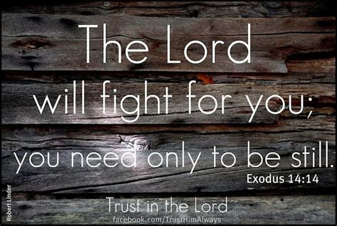 the Lord will fight for you you need only to be still. Exodus 14:4 - Quotes