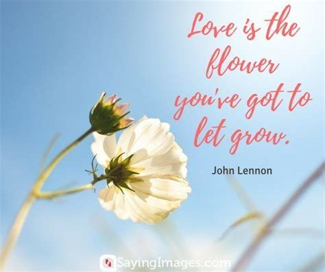 35 Beautiful Flower Quotes To Celebrate Life, Hope, And Love ...