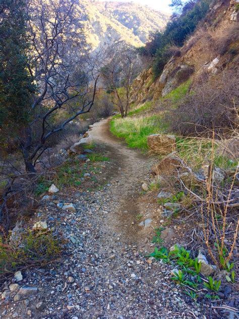 Azusa River Wilderness Park - LA Trail Hikers