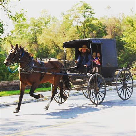 We still have space left for our Amish Experience Specialty Tour! It operates seasonally so dont ...