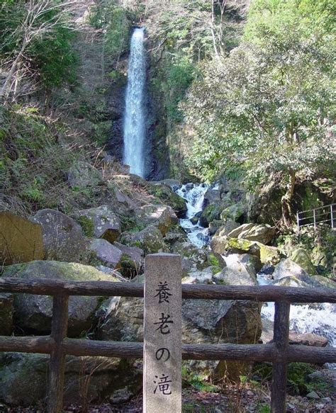 Yoro falls, Gifu. | Fun places to go, Gifu, Japan