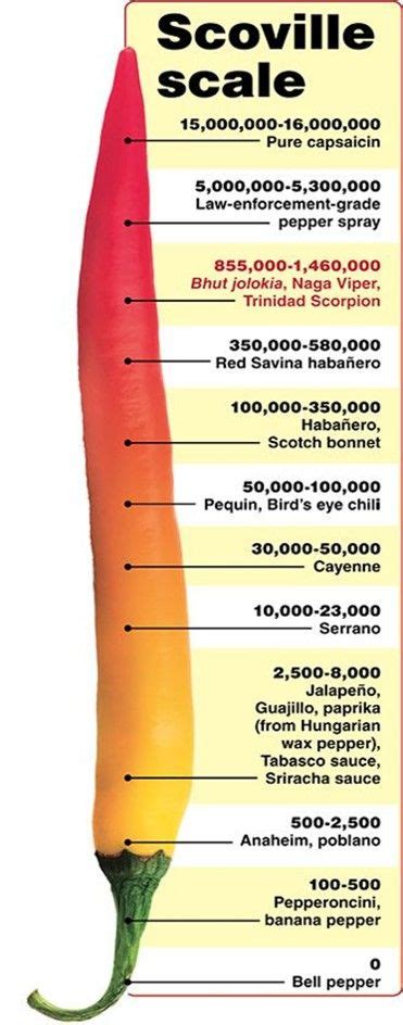 Cayenne’ s and the Scoville System All hot sauce possess a certain amount of heat, but it can be ...