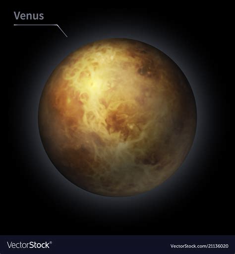 Venus realistic planet is isolated on the cosmic Vector Image