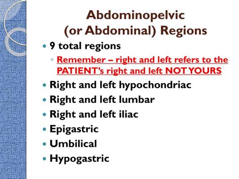 PPT - Intro to the Human Body – Directional Terms, Planes, Quadrants, and Regions PowerPoint ...