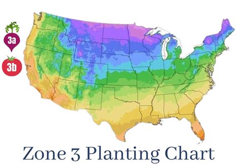 Zone 3 Vegetable Planting Chart | Kellogg Garden Organics™