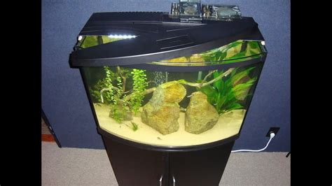 Top Fin 36 Gallon Bowfront Aquarium 3 Month Review + a Game-Changer Lid Mod - YouTube