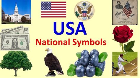 National Symbols of United States of America | USA | United States ...