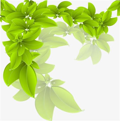 Leave Clipart PNG Images, Vector Leaves, Leaves, Green, Branches PNG ...