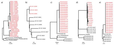 Benchmark datasets for phylogenomic pipeline validation, applications for foodborne pathogen ...