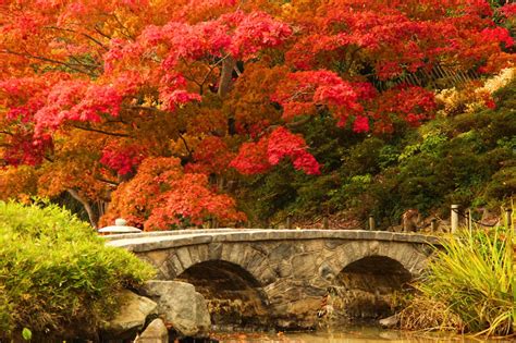 Fall season - Stone bridge | Fall season, Stone bridge, Beautiful fall