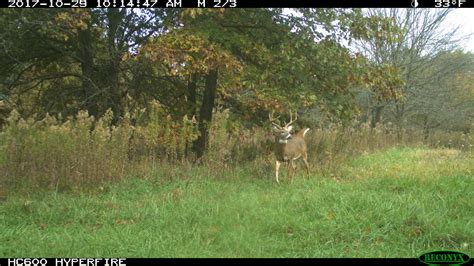 Mid July food plotting – Bartylla's Whitetail Habitat Plans