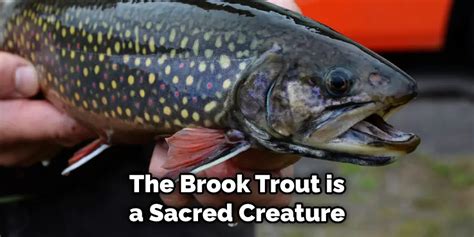 Brook Trout Spiritual Meaning, Symbolism and Totem (2024)