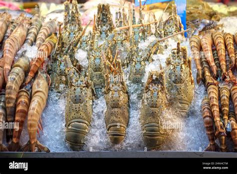 Seafood on display at the famous night market in Hua Hin. Hua Hin is one of the most popular ...