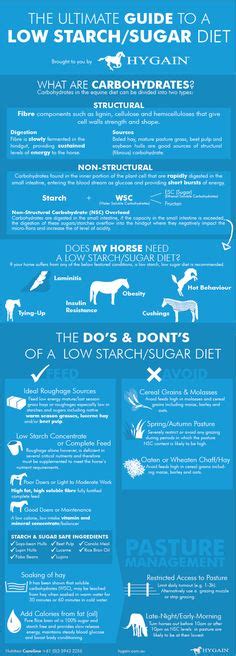 7 Horse Fact Sheets ideas | horse health, horse facts, horses