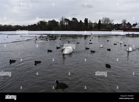 Petersfield lake hi-res stock photography and images - Alamy