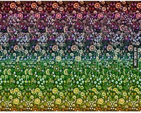 This is called stereogram. Can you see the animal? - 9GAG