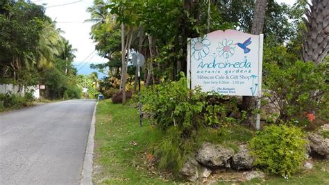 Andromeda Botanic Gardens, Bathsheba, Barbados | Botanical gardens, St joseph parish, Botanical