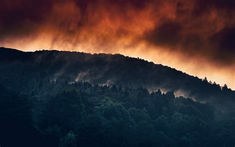 Silhouette of Trees on Mountain During Sunset · Free Stock Photo