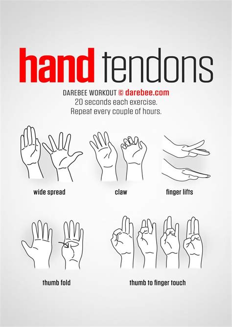 Hand & Wrist | Exercise, Wrist exercises, Climbing workout