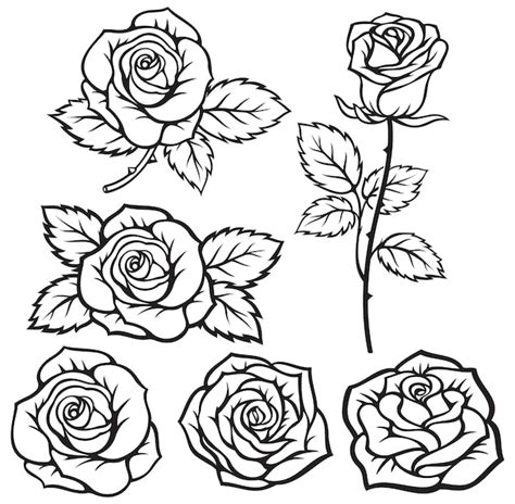 Rose SVG, Rose Flower SVG Bundle Graphic By Dev Teching · Creative ...