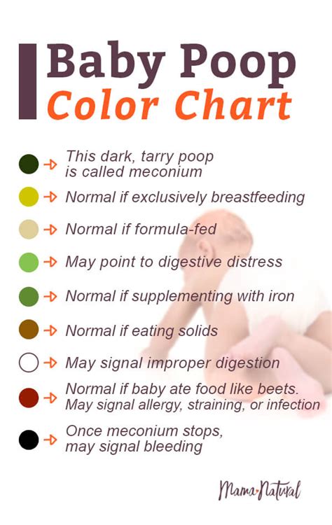 Top 10 Undigested Milk In Baby Stool