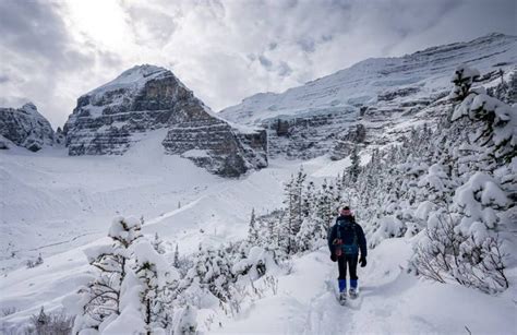 25 Magical Things to Do in Winter in Lake Louise | Hike Bike Travel