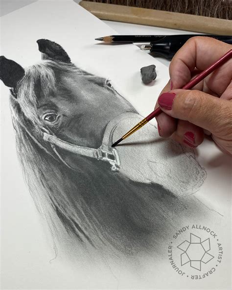 Draw a graphite portrait of a horse - Sandy Allnock