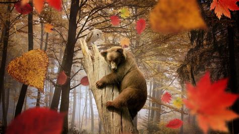 Fall Animal Wallpaper (65+ images)