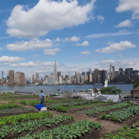 6 Amazing Rooftop Gardens in NYC | UrbanMatter