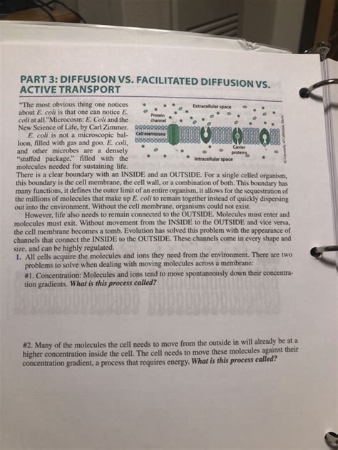 Solved PART 3: DIFFUSION VS. FACILITATED DIFFUSION VS ACTIVE | Chegg.com