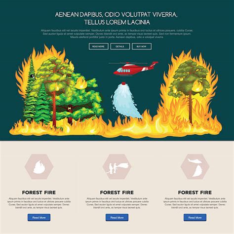 Royalty Free Forest Fire Clip Art, Vector Images & Illustrations - iStock