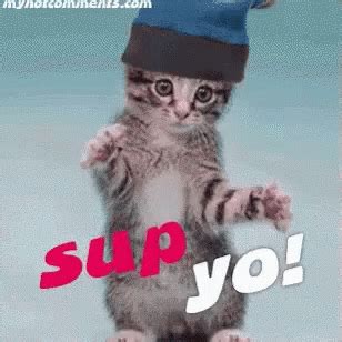 Cat Hip Hop GIF - Cat Hip Hop Whats Up Yo - Discover & Share GIFs