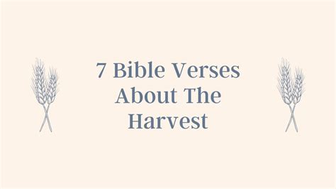 7 Bible Verses About The Harvest - In Faith Blog