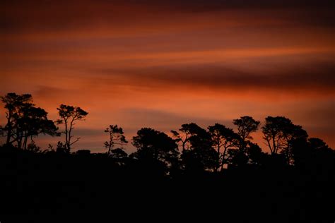 Sunrise,red,sky,silhouette,tree - free image from needpix.com