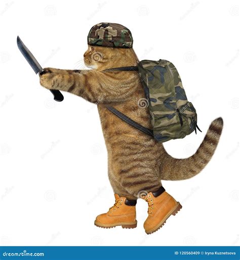 Funny Soldier In Military Stock Photo | CartoonDealer.com #46291026