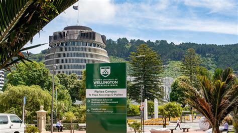 Five reasons to study business in Wellington | Ōrauariki / Wellington School of Business and ...