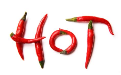 Why Are Chili Peppers So Spicy? | Wonderopolis