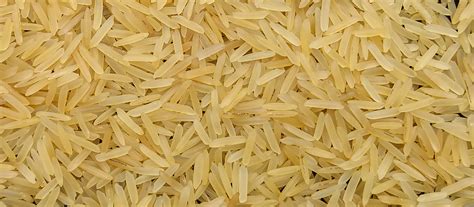 1121 Golden Sella Basmati Rice Exporters | HAS Rice Pakistan