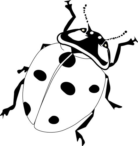 Free Bug Cliparts Black, Download Free Bug Cliparts Black png images ...