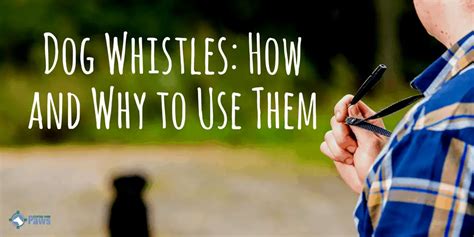 Dog Whistles: How And Why To Use Them (Not Just To Stop Barking!)