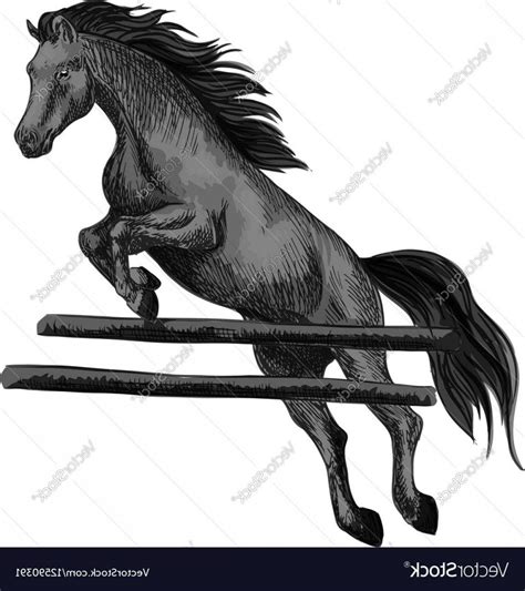 Horse Jumping Vector Logo - LogoDix